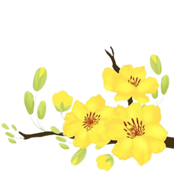 Đèn lồng Trung Thu